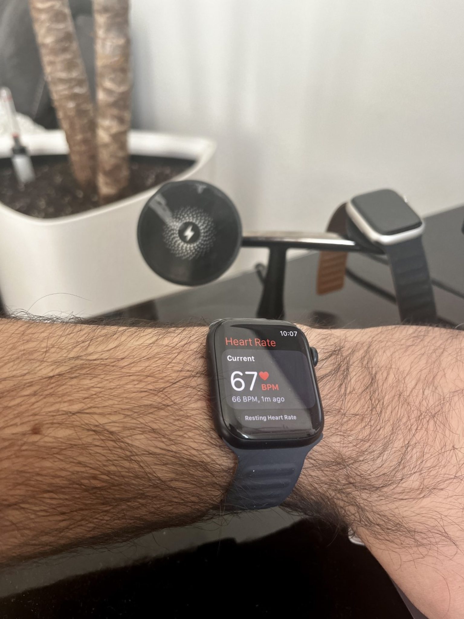 Apple Watch Fitness Features and 5 Best Fitness Apps in 2023 TECHWALTZ